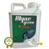 Algaegreen Olivo Plus en 20 L -  Foliar desde 8,92 €/L + IVA