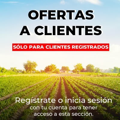 Disfruta de las mejores ofertas