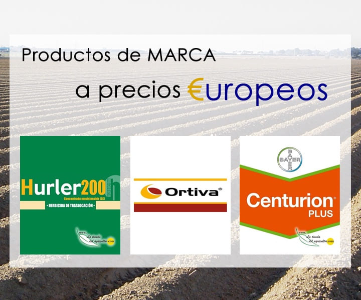 Productos de marca a precios europeos