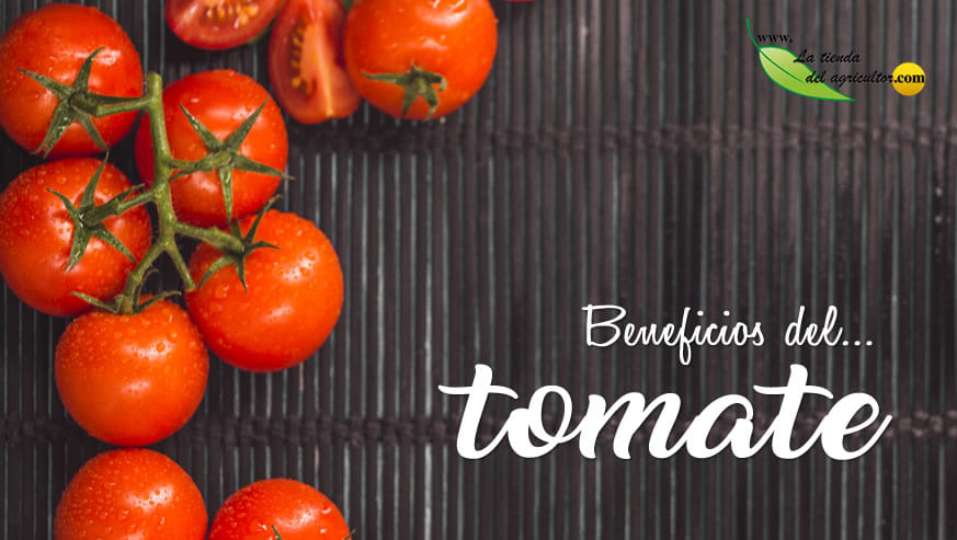 Beneficios del Tomate