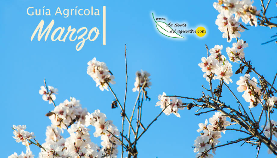 Guía Agrícola - Marzo 2021