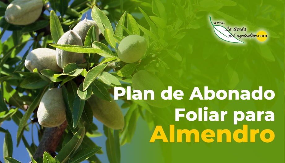 Plan Abonado Foliar Para Almendro