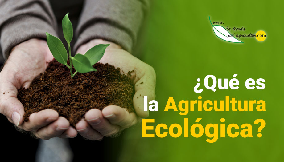 Ventajas de la agricultura ecológica