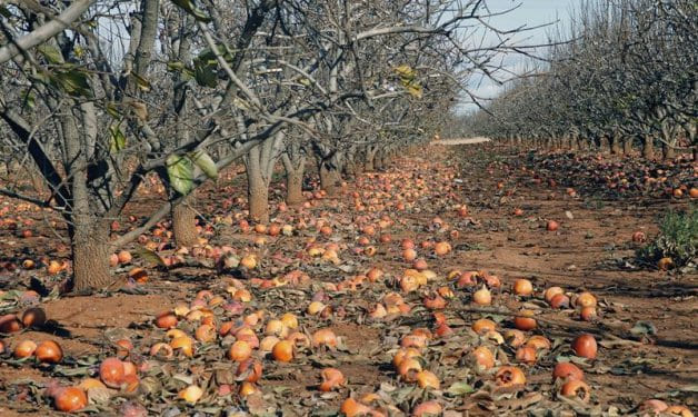 La primera gran ola de frío del año hiela España