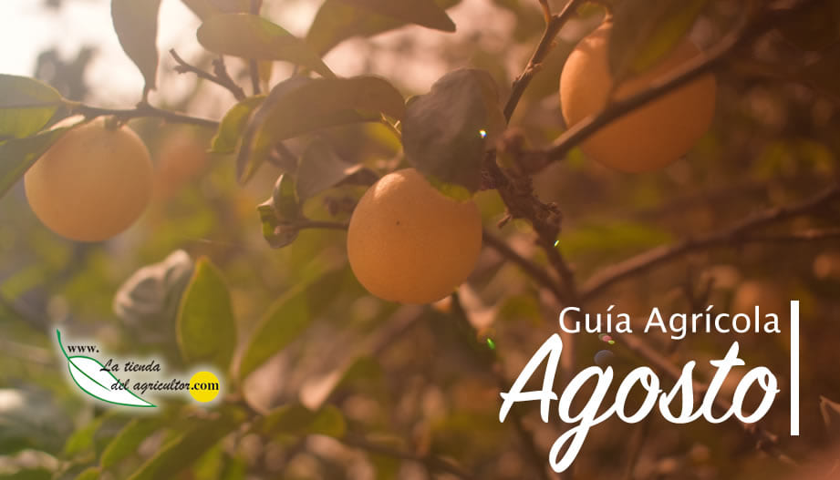 Guía Agrícola - Agosto 2017