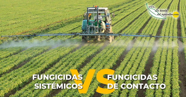 Fungicidas sistémicos VS Fungicidas de contacto