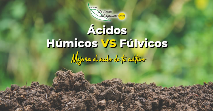 Ácidos húmicos y Fúlvicos: la clave para el desarrollo de los suelos de tu cultivo.