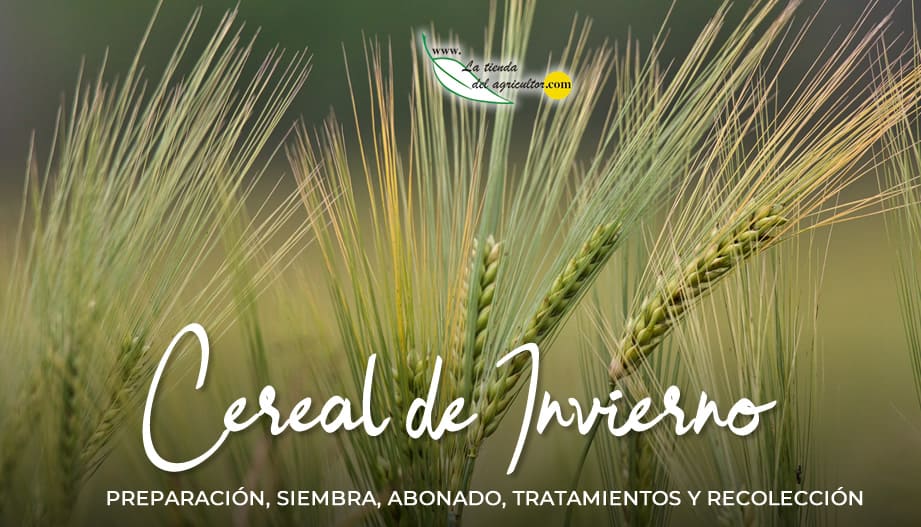 Guía Agrícola del Cereal de Invierno