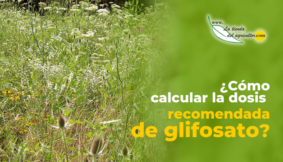 ¿Cómo calcular la dosis recomendada de glifosato? 