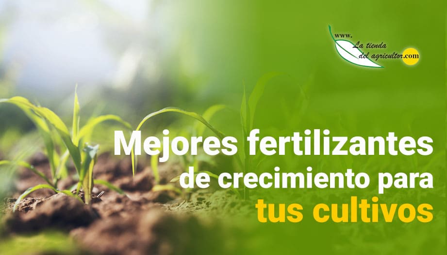 Mejores fertilizantes de crecimiento