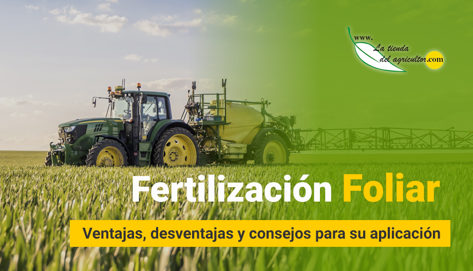 Fertilización Foliar: Ventajas, desventajas y consejos para su aplicación.