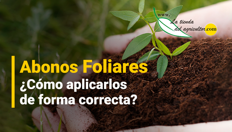 ¿Cómo aplicar abonos foliares de forma eficaz?