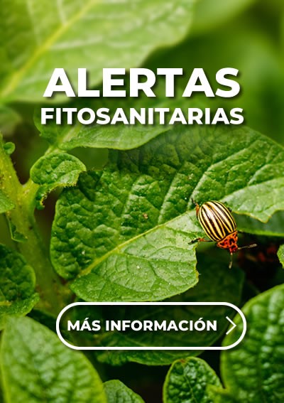 Alertas Fitosanitarias