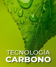Tecnología de Carbono
