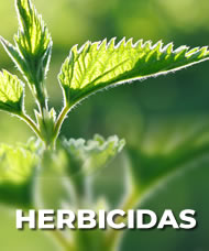 Herbicidas